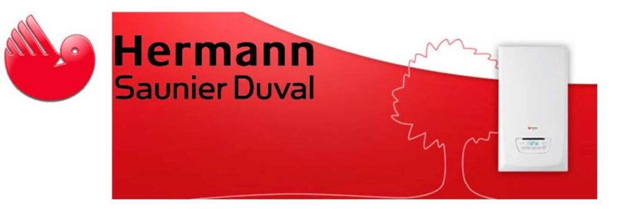 Assistenza Caldaie Saunier Duval