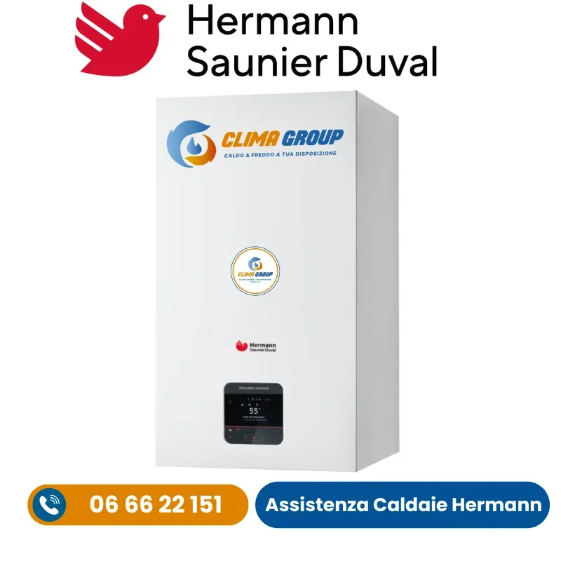 Assistenza Caldaie Hermann Saunier Duval Cornelia